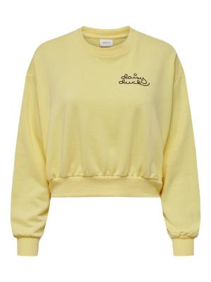Sweatshirt | ONLDISNEY SHORT L/S O-NECK BOX SWT