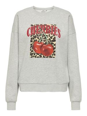 ONLJOLANA L/S O-NECK BERRY PRINT CS