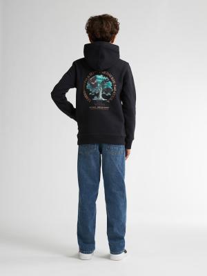 Boys Sweater Hooded