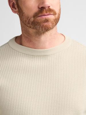 Men Knitwear Round Neck Basic
