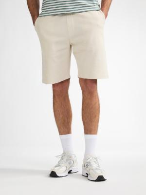 Men Shorts Chino